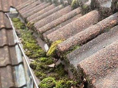 North East London Gutter Repairs services near me 